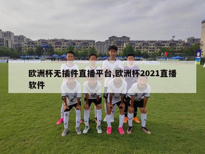 欧洲杯无插件直播平台,欧洲杯2021直播软件