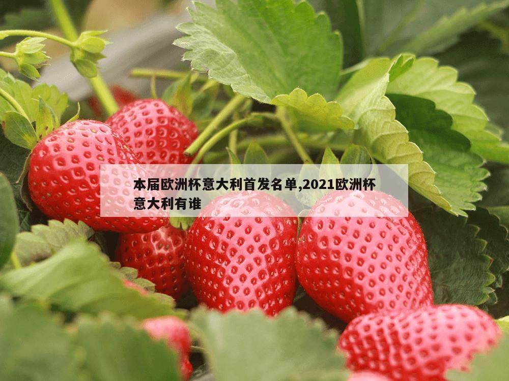 本届欧洲杯意大利首发名单,2021欧洲杯意大利有谁