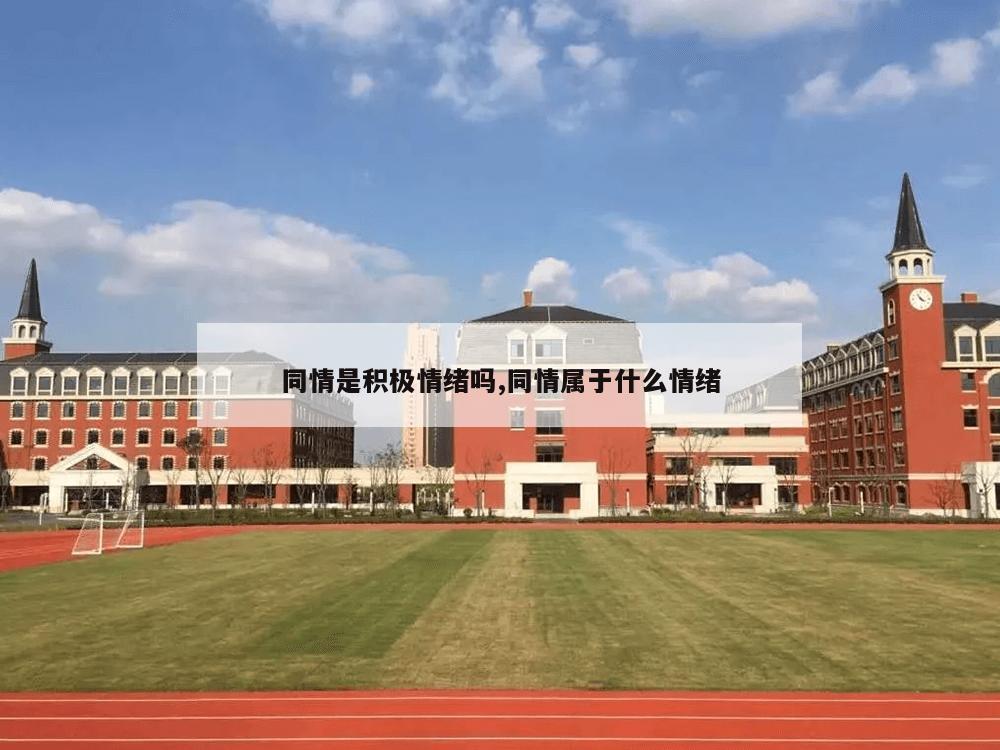 同情是积极情绪吗,同情属于什么情绪