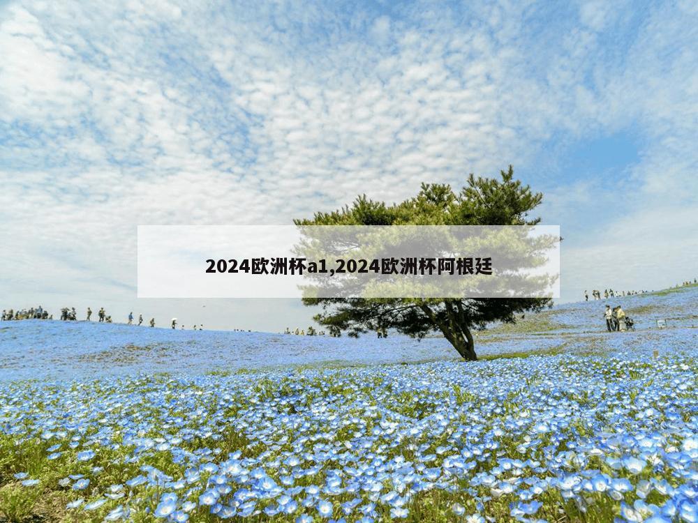 2024欧洲杯a1,2024欧洲杯阿根廷