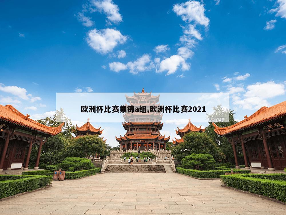 欧洲杯比赛集锦a组,欧洲杯比赛2021