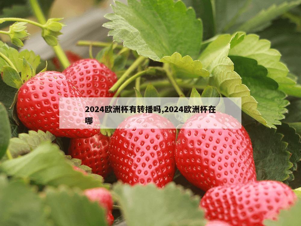 2024欧洲杯有转播吗,2024欧洲杯在哪