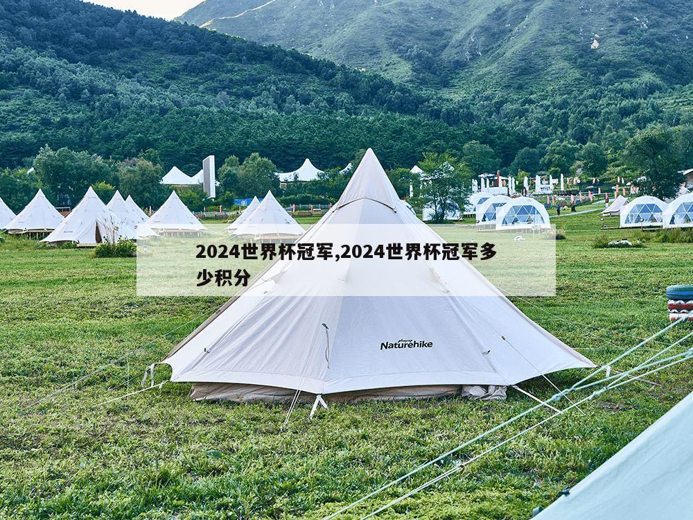 2024世界杯冠军,2024世界杯冠军多少积分