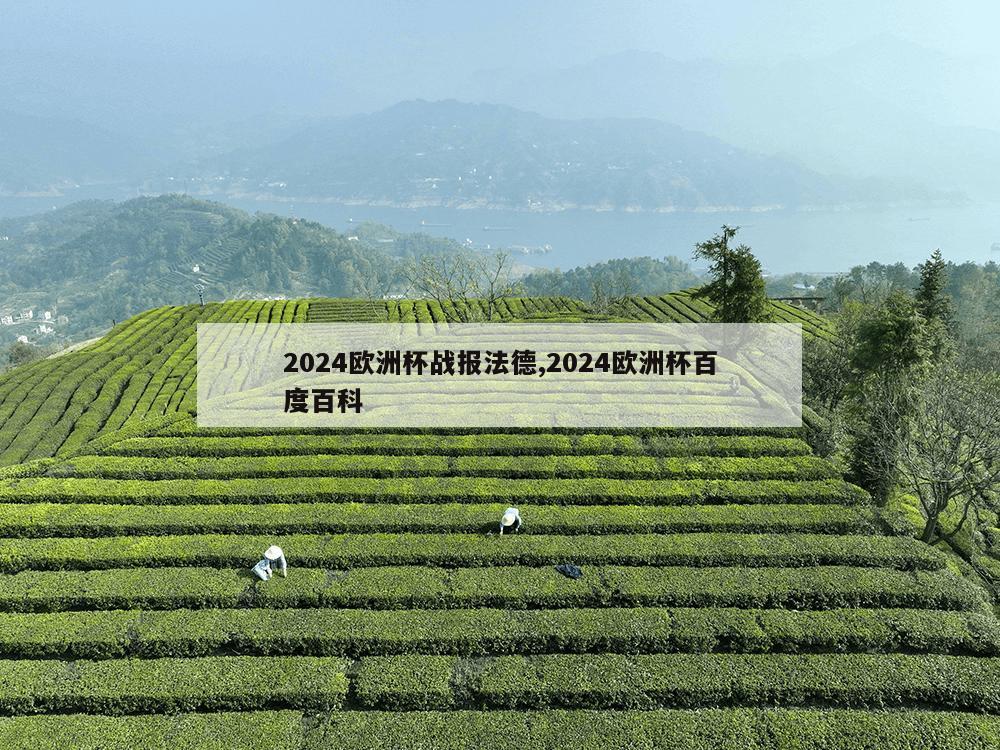 2024欧洲杯战报法德,2024欧洲杯百度百科