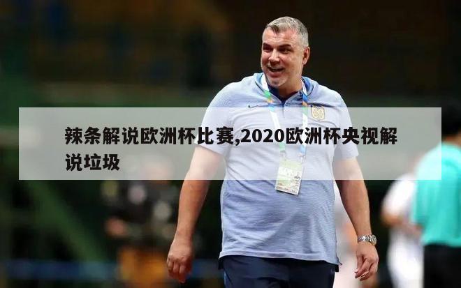 辣条解说欧洲杯比赛,2020欧洲杯央视解说垃圾