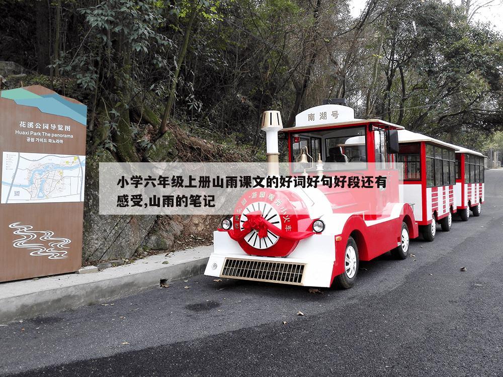 小学六年级上册山雨课文的好词好句好段还有感受,山雨的笔记