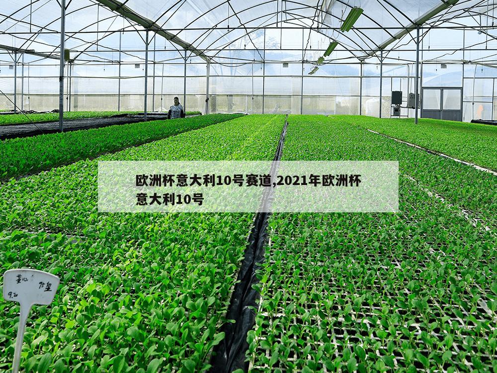 欧洲杯意大利10号赛道,2021年欧洲杯意大利10号