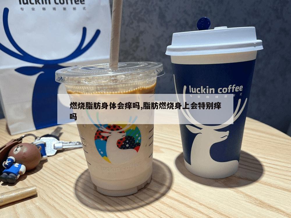 燃烧脂肪身体会痒吗,脂肪燃烧身上会特别痒吗