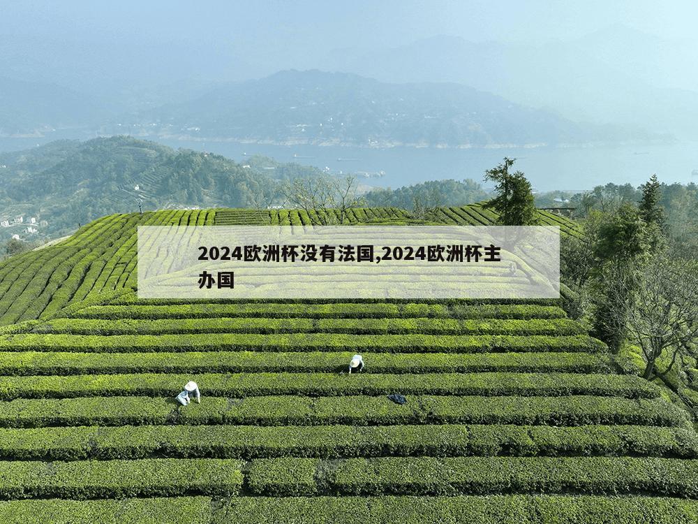 2024欧洲杯没有法国,2024欧洲杯主办国